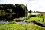 De Vecht bij het Haersterveer